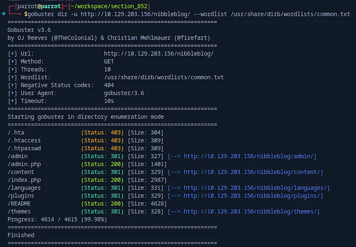 gobuster-view.png